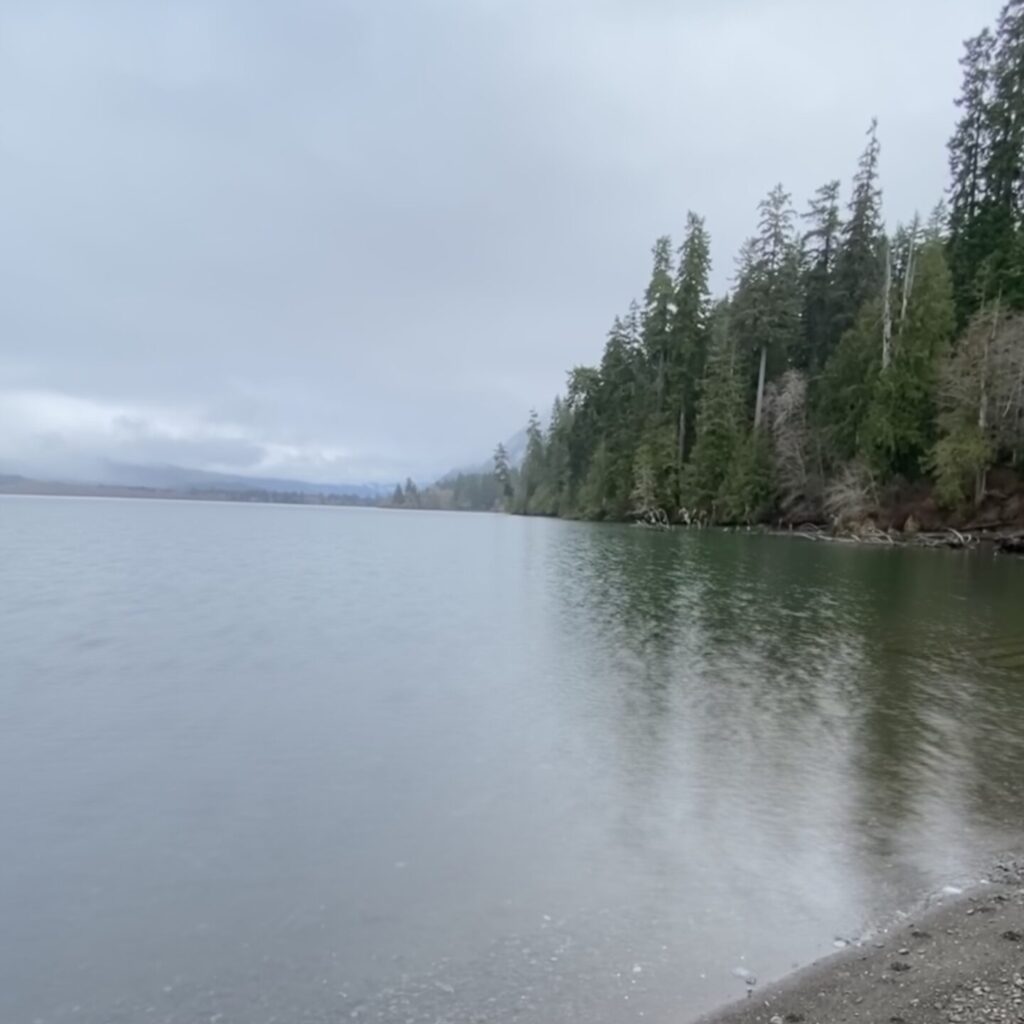 Lake Quinault on a cloudy day.