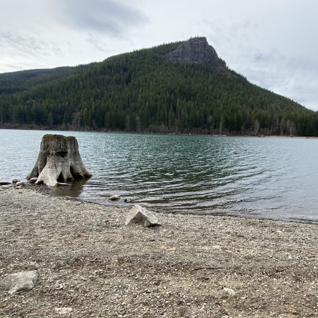 Rattlesnake lake with a stump in the foreground and a view of the mountain filled with trees.