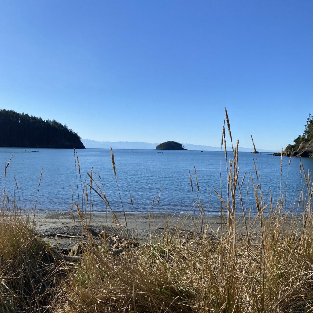 A view of the bay at Deception Pass State Park